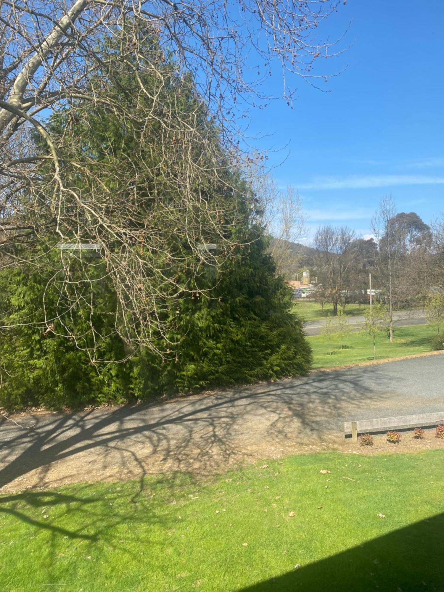 Tumbarumba Motel & Elms Restaurant Екстериор снимка