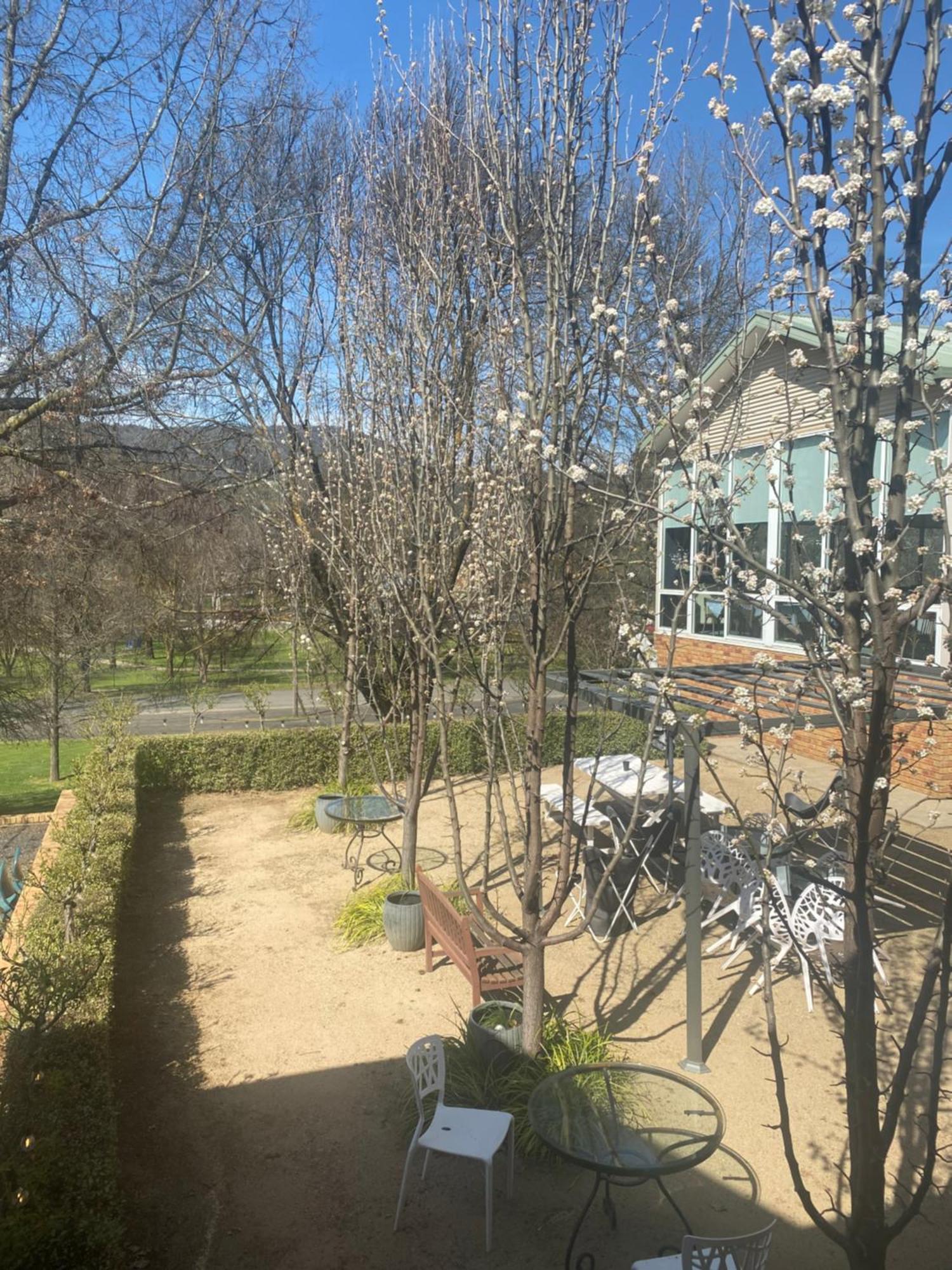 Tumbarumba Motel & Elms Restaurant Екстериор снимка